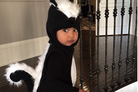 north west skunk