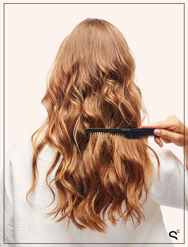 Photo by Tom Medvedich; Graphic Design by Candace Napier