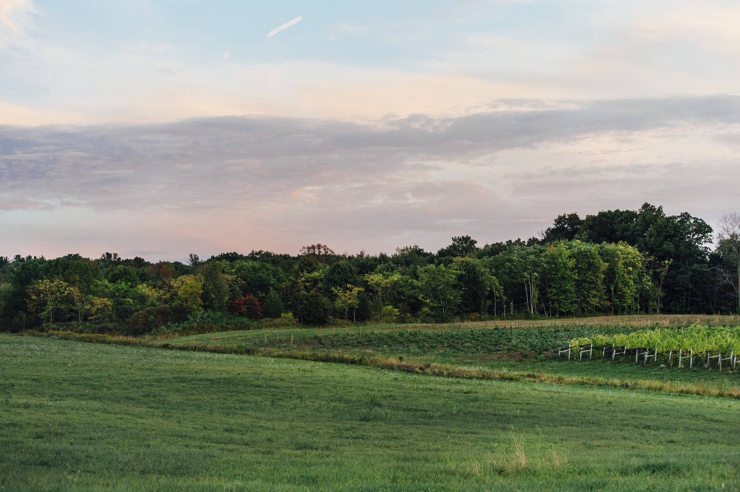 inside elsewhere finger lakes