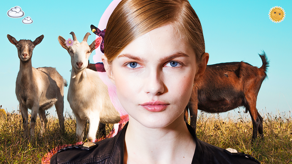 Getty Images/ImaxTree/STYLECASTER