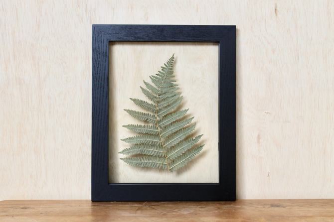 STYLECASTER | framed plants