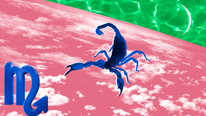 STYLECASTER | Your Zodiac Sign As a Drunk Text—You Know Who You Are