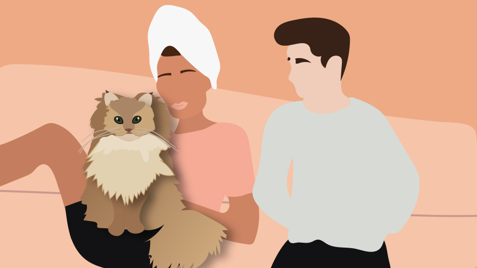 cat-allergies-relationship-image