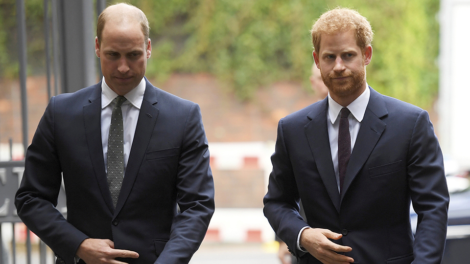 Prince William, Prince Harry