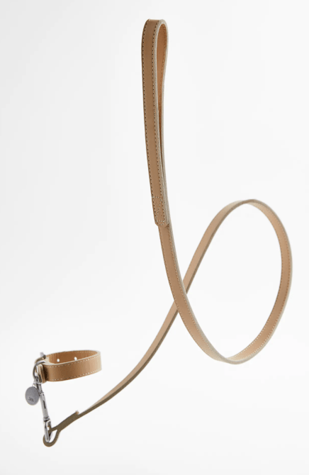 STYLECASTER | Zara Pet Collection