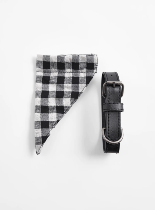 STYLECASTER | Zara Pet Collection