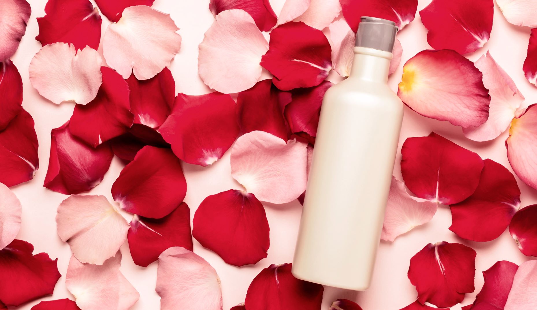 STYLECASTER | Rose Inspired Beauty Products