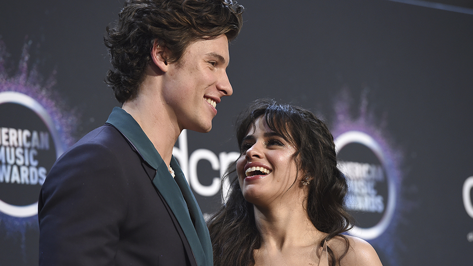Shawn Mendes,Camila Cabello