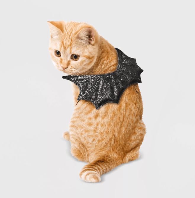 STYLECASTER | Pet Halloween Costumes