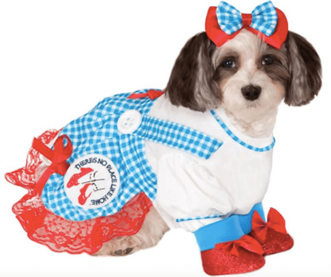 dorothy wizard of oz