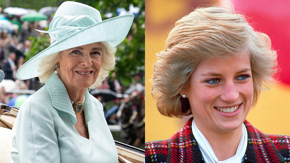 Camilla Parker Bowles, Princess Diana