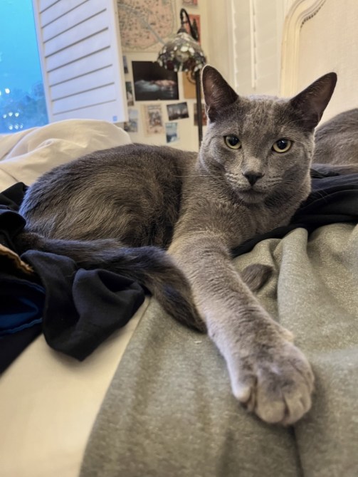 Archie, a very complicated & intelligent boy