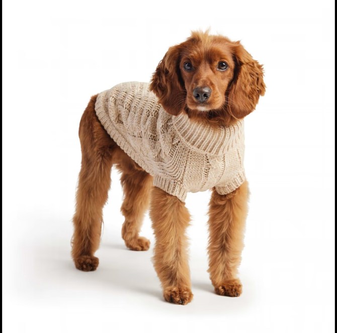 GF Pet Oatmeal Chalet Dog Sweater Petco