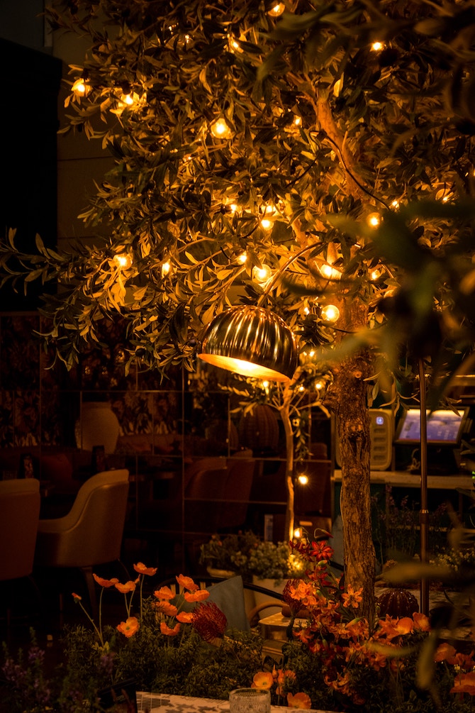 A restaurant room filled with plants and lights