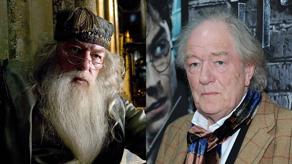 Michael Gambon