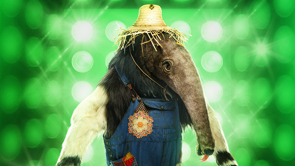 Who's Anteater from The Masked Singer?