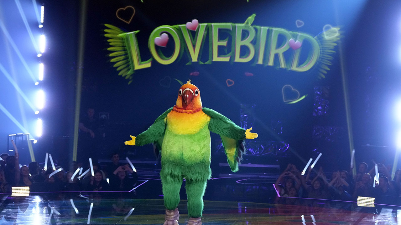 The Masked Singer Cast For Season 11 Will Exceed All Your Expectations