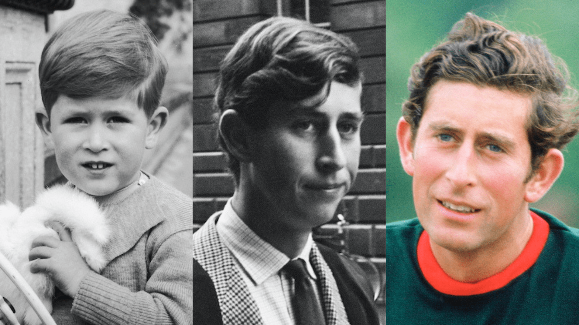 King Charles Young Photos: Prince William & Harry's Dad Now vs Then