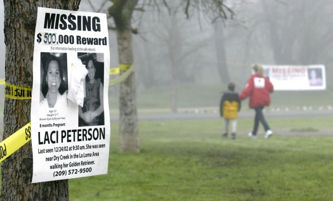 A missing person's poster offering a half-million dollar reward for the safe return of Laci Peterson is displayed on a tree at the East La Loma Park January 4, 2003 in Modesto, California. Peterson, who is eight-months pregnant, has been missing since December 24, 2002 when she allegedly took her dog for a walk in the park while her husband was on a fishing trip.