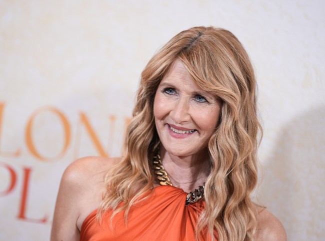 Laura Dern at the "Lonely Planet" New York Screening held at The Whitby Hotel on October 1, 2024 in New York City.