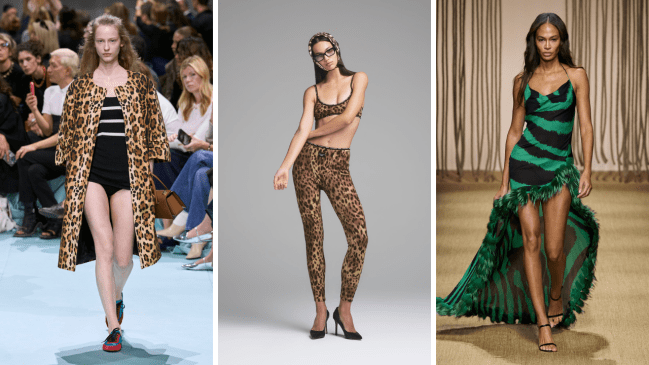 prada, skims, roberto cavalli spring/summer 2025 runways